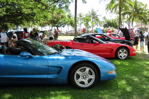 Corvettes in Paradise 2008