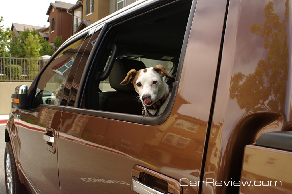 2011 Ford F-150 SuperCrew 4x4