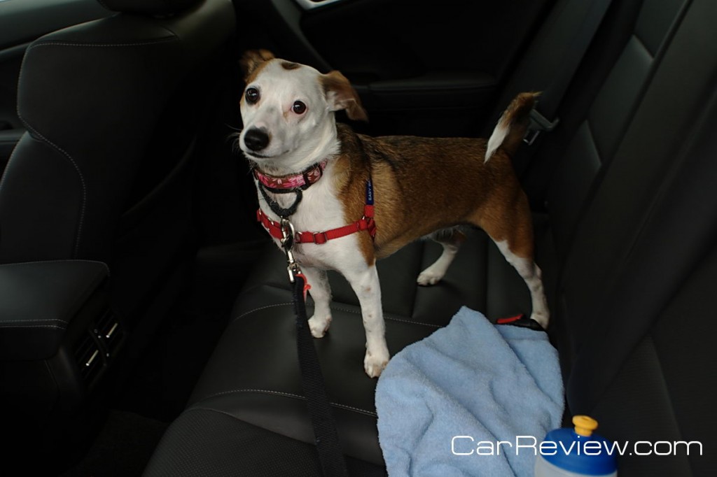 Tessa enjoys riding in the Acura TSX Sport Wagon